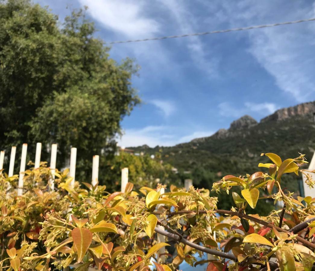 Le Mimose * Santa Maria Navarrese