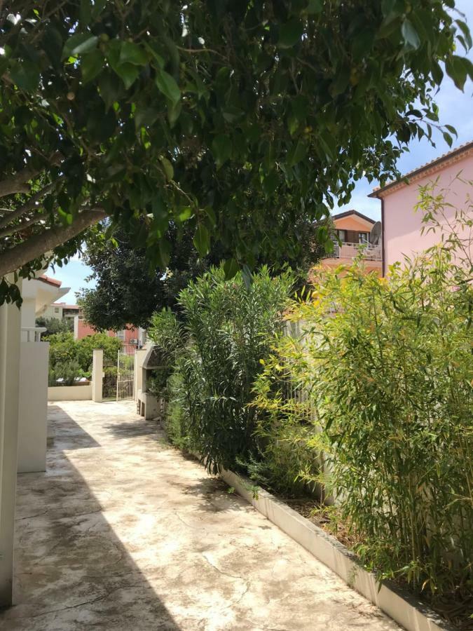 Le Mimose Apartment *