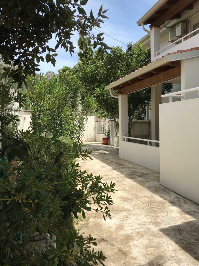 Apartment Le Mimose Santa Maria Navarrese