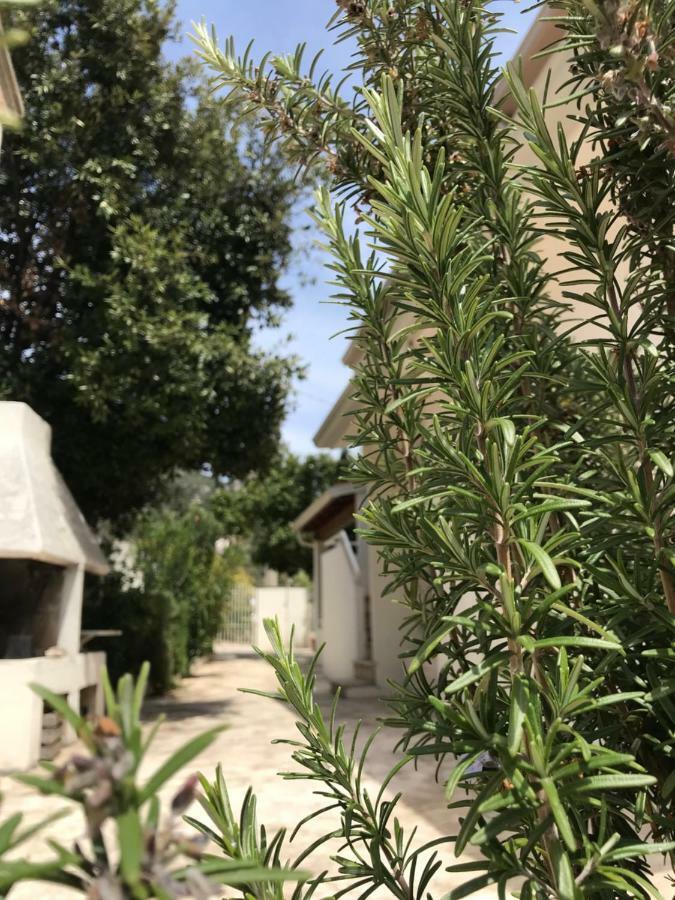 Appartement Le Mimose *